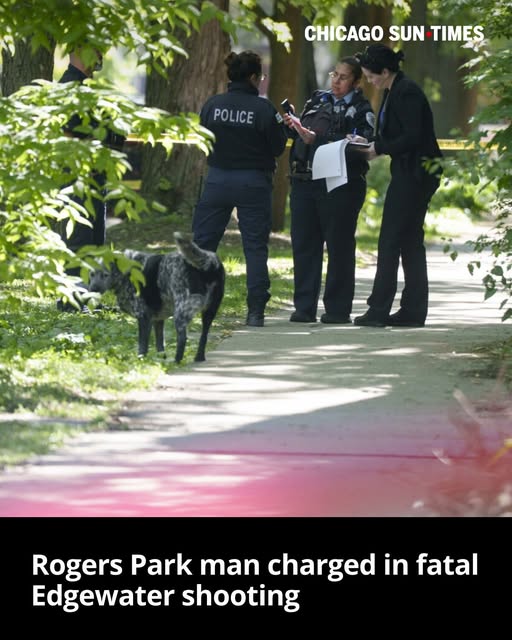 Ammar Houssamo Chicago, Illinois Shooting: Rogers Park Man Charged In Fatal Edgewater Shooting